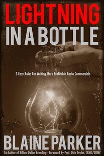 Lightning In A Bottle book by Blaine Parker